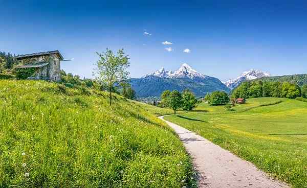Panoramic view of idyllic summer landscape in the Alps 210119407